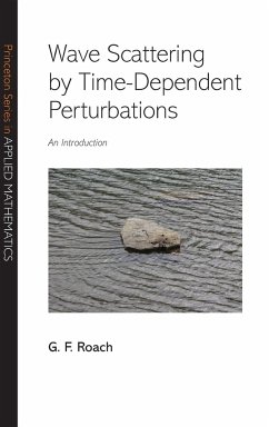 Wave Scattering by Time-Dependent Perturbations - Roach, G. F.