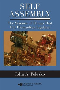 Self Assembly - Pelesko, John A