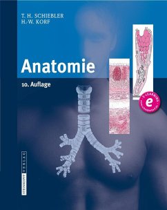 Anatomie - Schiebler, Theodor H.;Korf, Horst-W.