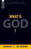 What Is God?: An Investigation of the Perfections of God's Nature