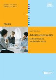Arbeitsschutzaudits: Leitfaden für die betriebliche Praxis Arbeitsschutzaudits: Leitfaden für die betriebliche Praxis