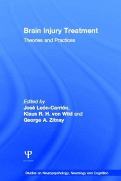 Brain Injury Treatment - Leon-Carrion, Jose; Wild, Klaus R H von; Zitnay, George A