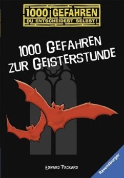 1000 Gefahren zur Geisterstunde / 1000 Gefahren Bd.2 - Packard, Edward;Würtenberger, Ellen