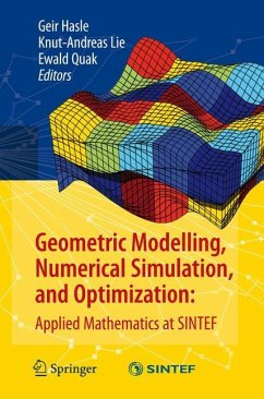 Geometric Modelling, Numerical Simulation, and Optimization: - Hasle, Geir / Lie, Knut-Andreas / Quak, Ewald (eds.)