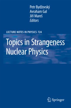 Topics in Strangeness Nuclear Physics - Bydzovsky, Petr / Gal, Avraham / Mares, Jiri (eds.)