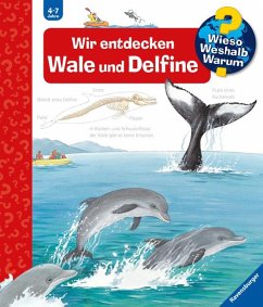 Wir entdecken Wale und Delfine / Wieso? Weshalb? Warum? Bd.41 - Rübel, Doris