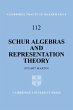 Schur Algebras and Representation Theory - Bild 1