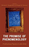 The Promise of Phenomenology