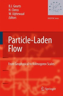 Particle-Laden Flow - Geurts, B.J. / Clercx, H. / Uijttewaal, W. (eds.)