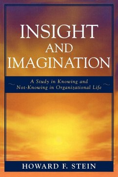 Insight and Imagination - Stein, Howard F.