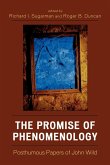 The Promise of Phenomenology