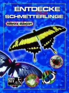 Entdecke die Schmetterlinge - Schmidt, Thomas