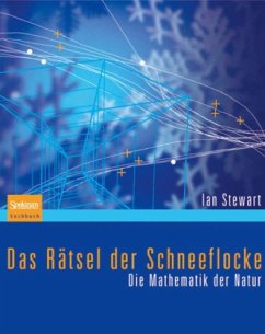 Das Rätsel der Schneeflocke - Stewart, Ian