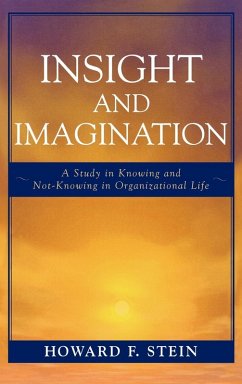 Insight and Imagination - Stein, Howard F.