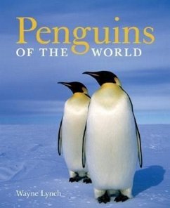 Penguins of the World - Lynch, Wayne