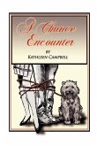 A Chance Encounter A Chance Encounter