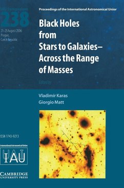 Black Holes (IAU S238) - Karas, Vladimir / Matt, Giorgio (eds.)