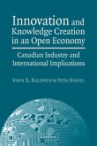 Innovation and Knowledge Creation in an Open Economy