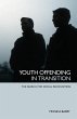 Youth Offending in Transition - Bild 1