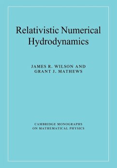 Relativistic Numerical Hydrodynamics - Wilson, James R.; Mathews, Grant J.