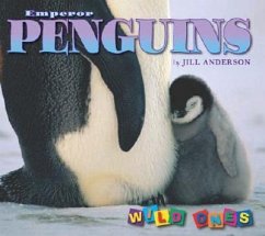 Emperor Penguins - Anderson, Jill