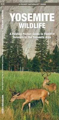 Yosemite Wildlife - Waterford Press