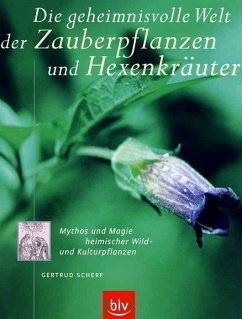 Cover Die geheimnisvolle Welt der Zauberpflanzen und Hexenkräuter – Mythos und Magie heimischer Wild- und Kulturpflanzen - Sehr Guter Zustand!