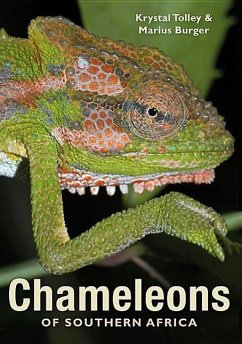 Chameleons of Southern Africa - Burger, Marius; Tolley, Krystal