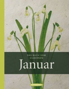 Cover Das Buch vom silbernen Januar