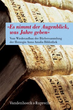 'Es nimmt der Augenblick, was Jahre geben' - Mangei, Johannes / Kleinbub, Claudia / Lorenz, Katja (Hgg.)