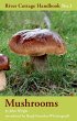 Mushrooms - Bild 1