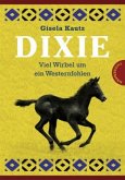 Dixie - Viel Wirbel um ein Westernfohlen Dixie - Viel Wirbel um ein Westernfohlen