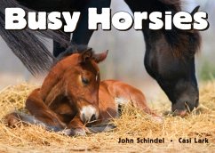 Busy Horsies - Schindel, John