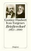 Flaubert-Turgenev Briefwechsel 1863-1880