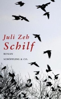 Schilf - Zeh, Juli