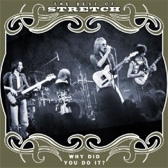 Cover Why Did You Do It?