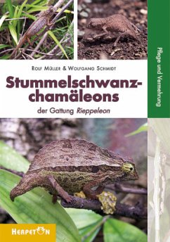 Stummelschwanzchamäleons - Müller, Rolf;Schmidt, Wolfgang