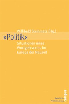 Politik - Steinmetz, Willibald (Hrsg.)