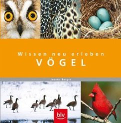 Cover Vögel