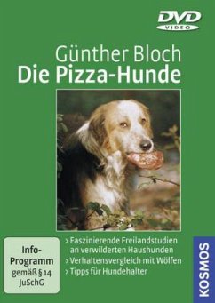 Die Pizza-Hunde, 1 DVD