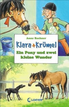 Ein Pony und zwei kleine Wunder - Bachner, Anne
