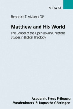 Matthew and His World - Viviano, Benedict T.