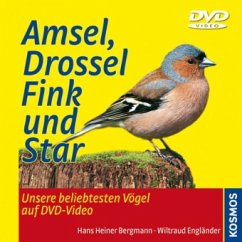 Amsel, Drossel, Fink und Star, mit DVD - Bergmann, Hans-Heiner; Engländer, Wiltraud