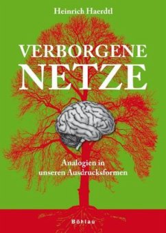 Cover Verborgene Netze