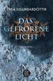 Das gefrorene Licht / Anwältin Dóra Gudmundsdóttir Bd.2