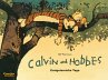 Ereignisreiche Tage / Calvin und Hobbes... - Bild 1