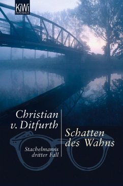 Schatten des Wahns / Stachelmann Bd.3 - Ditfurth, Christian von