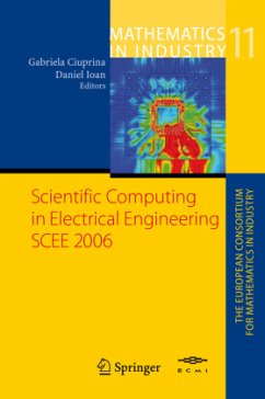 Scientific Computing in Electrical Engineering - Ciuprina, Gabriela / Ioan, Daniel (eds.)