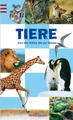 Tiere - Tordjman, Nathalie; Fournier LeRay, Anne-Laure