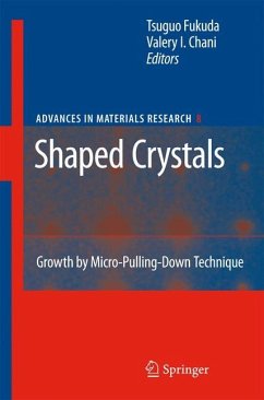 Shaped Crystals - Fukuda, Tsuguo / Chani, Valery I. (eds.)